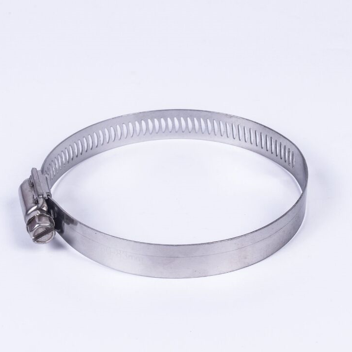 Hose clamp, pipe clip